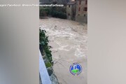 Maltempo in Emilia-Romagna, le forti piogge ingrossano il fiume Lamone