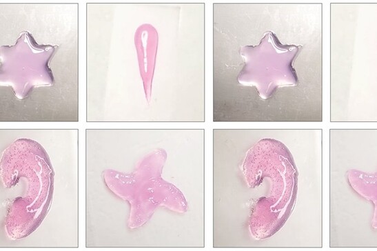 Esempi di strutture in idrogel stampate direttamente nell'organismo utilizzando gli ultrasuoni (fonte Elham Davoodi e Wei Gao/Caltech)