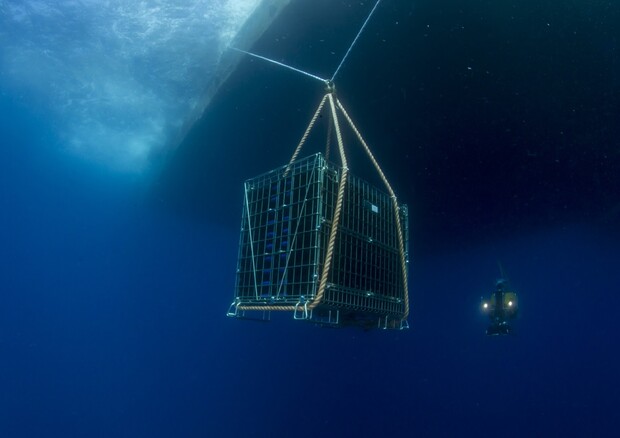 tante le aziende vinicole che praticano l'affinamento dei vini under water (ANSA)