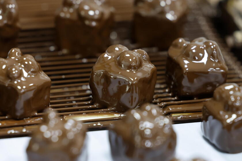 Christmas sweets production at the Abbey Notre Dame de la Paix