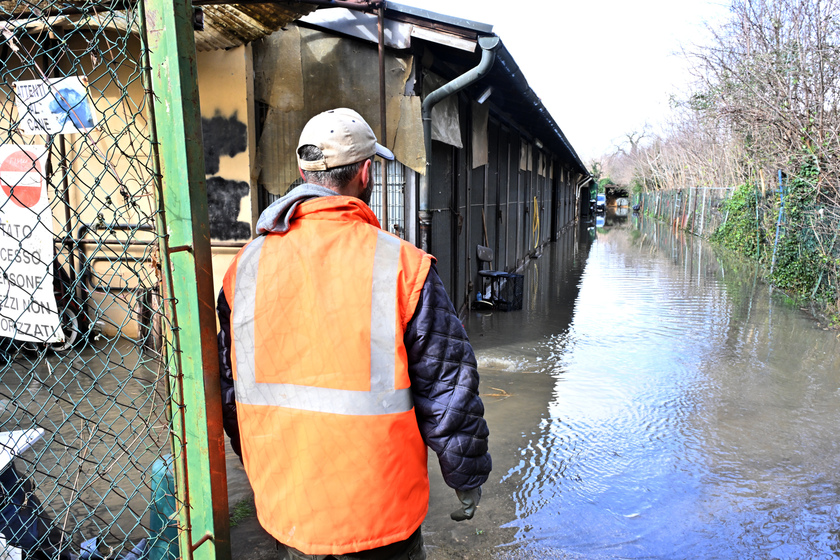 Bomba d'acqua Firenze, conducenti carrozze presidiano stalle