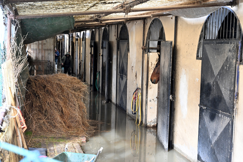 Bomba d'acqua Firenze, conducenti carrozze presidiano stalle