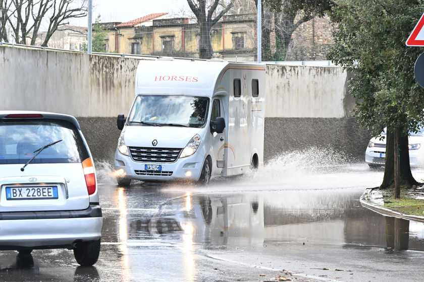 Bomba d'acqua Firenze, conducenti carrozze presidiano stalle