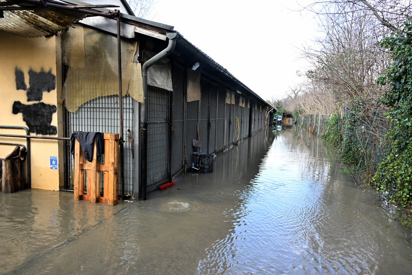 Bomba d'acqua Firenze, conducenti carrozze presidiano stalle