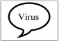 Parola della settimana: virus © Ansa