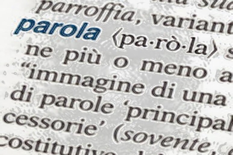 Le parole della settimana - RIPRODUZIONE RISERVATA