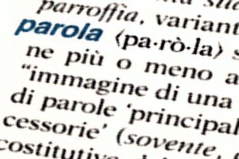 Le parole della settimana - RIPRODUZIONE RISERVATA