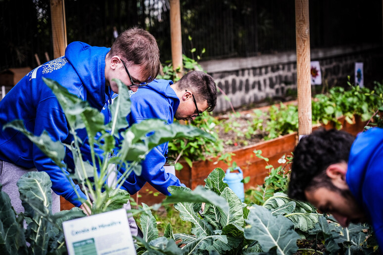 - RIPRODUZIONE RISERVATA