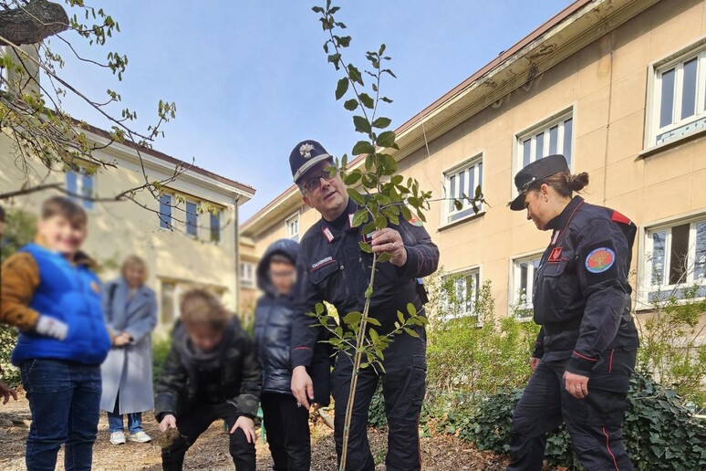 - RIPRODUZIONE RISERVATA